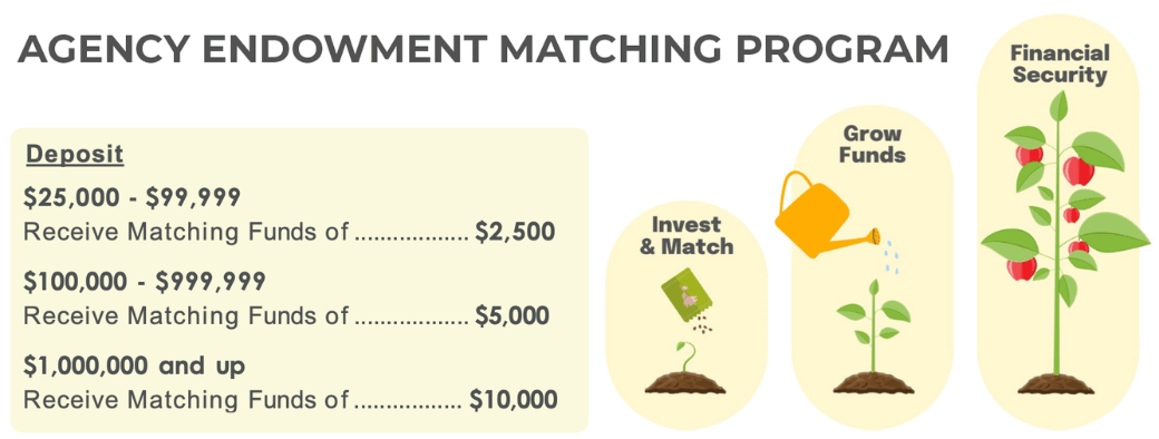 Agency Endowment Diagram