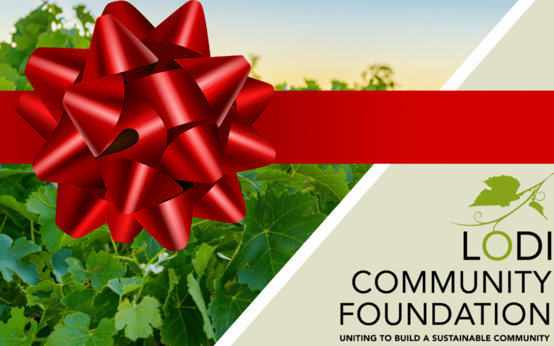 Happy Holidays – December 2024