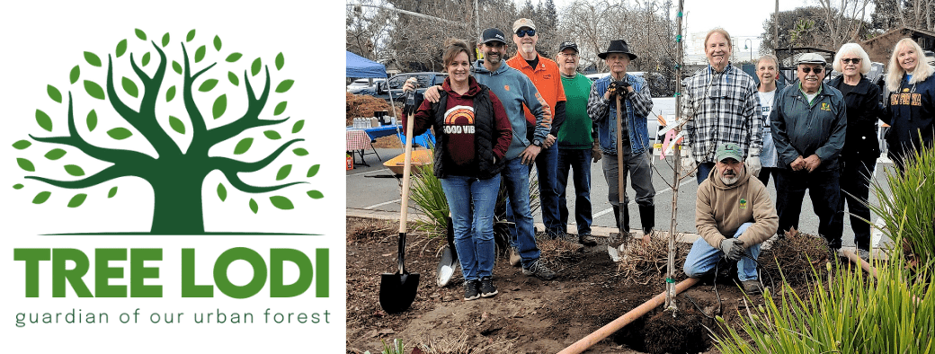 Tree Lodi Fund