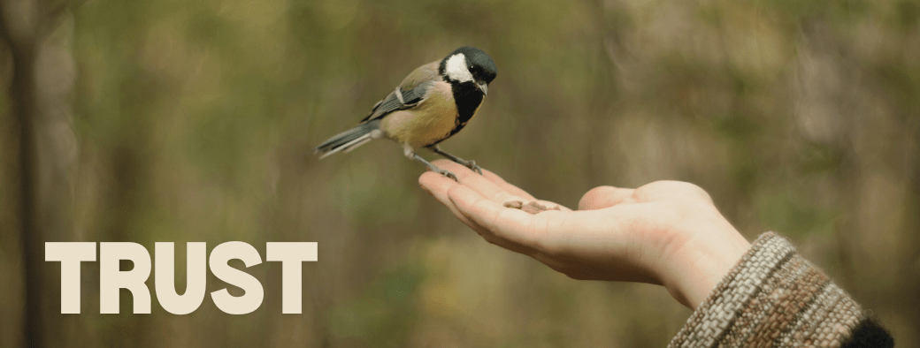 Birtd on a hand with the word Trust